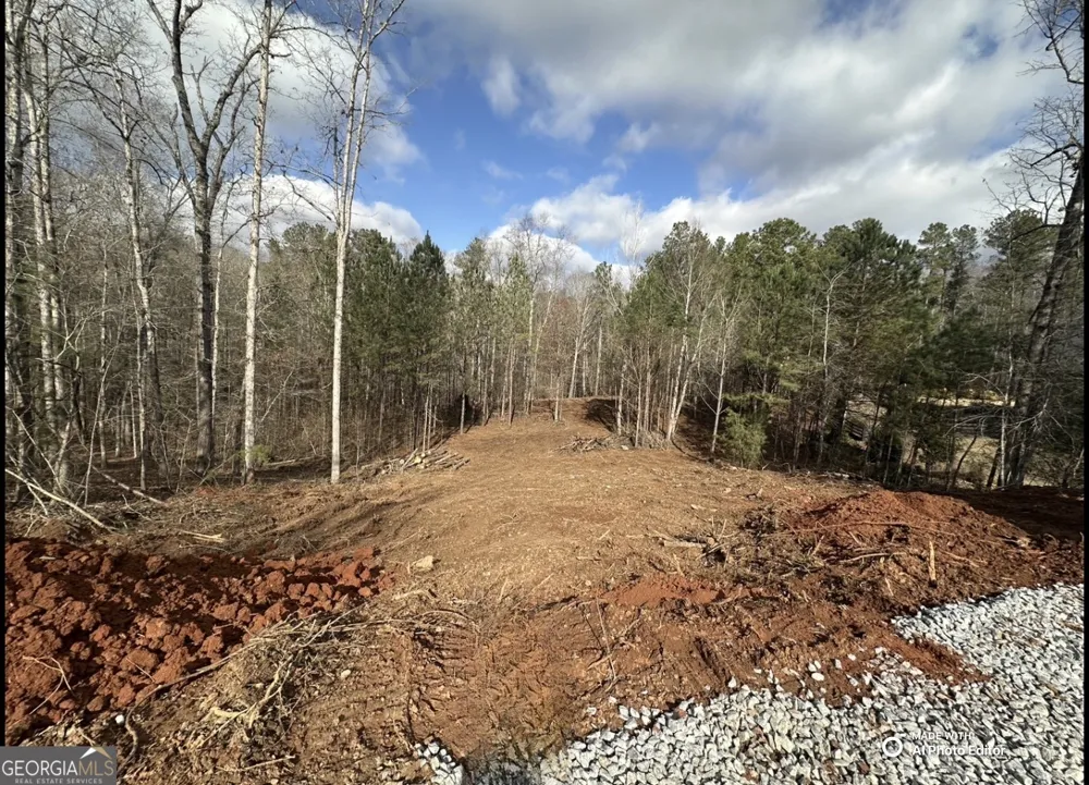 1698 Shoal Creek WAY Bishop, GA 30621