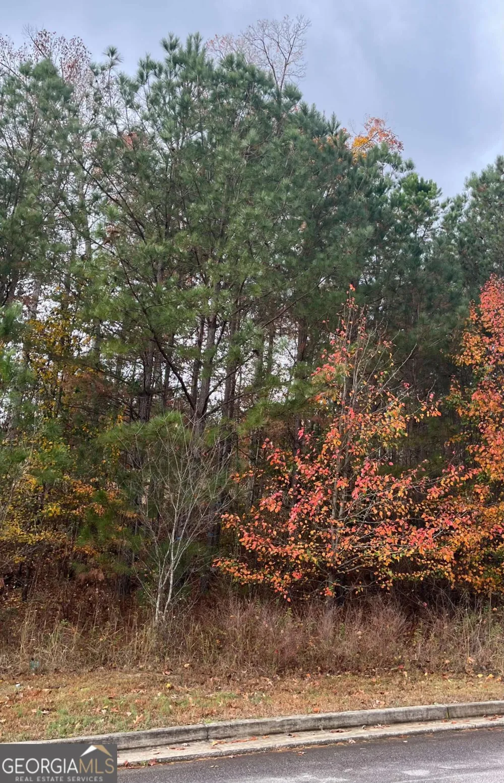 1075 Falkirk LN Stone Mountain, GA 30087