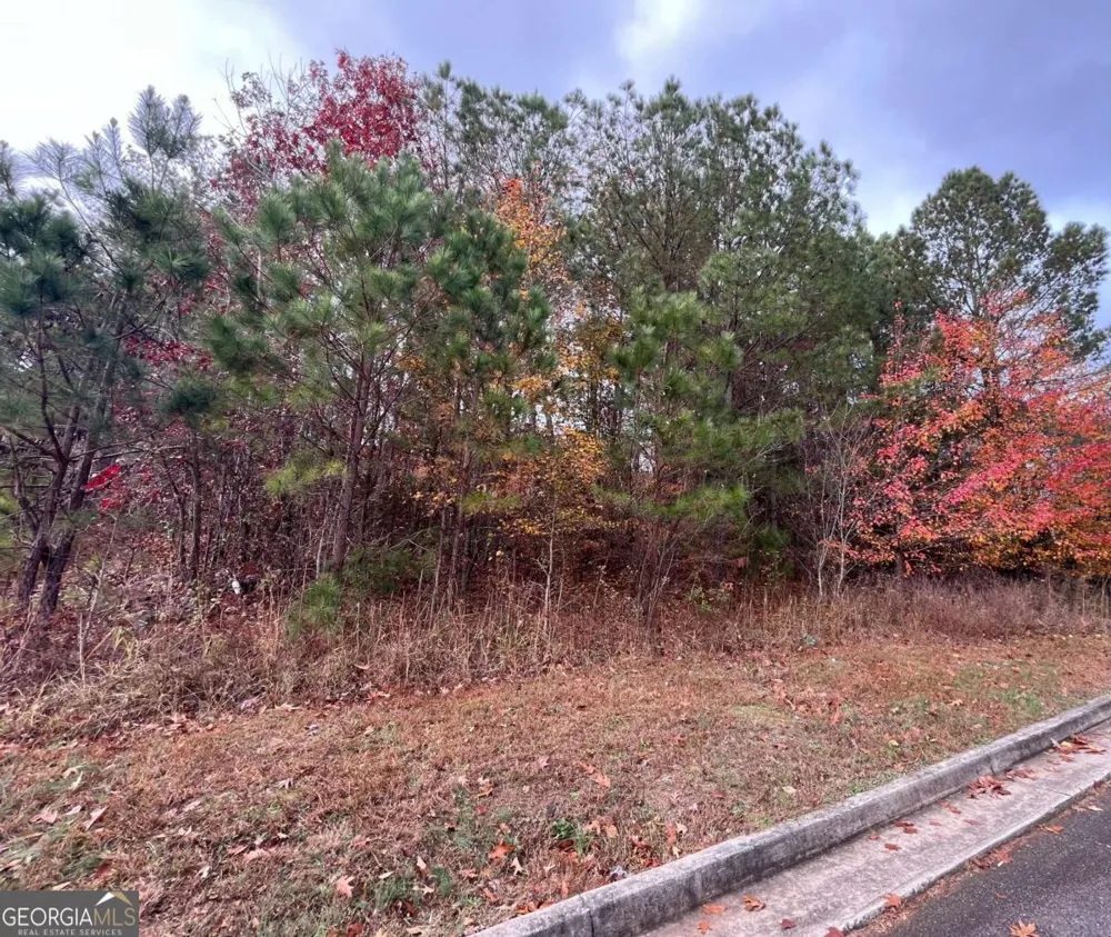 1075 Falkirk LN Stone Mountain, GA 30087