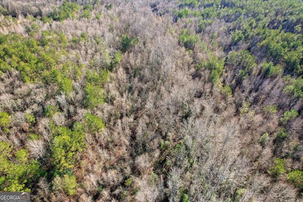 0 Wrens HWY Thomson, GA 30824