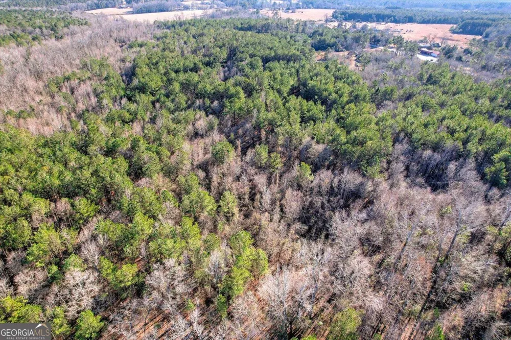 0 Wrens HWY Thomson, GA 30824