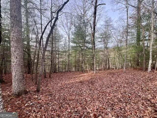 149 Hickory WAY Blue Ridge, GA 30513