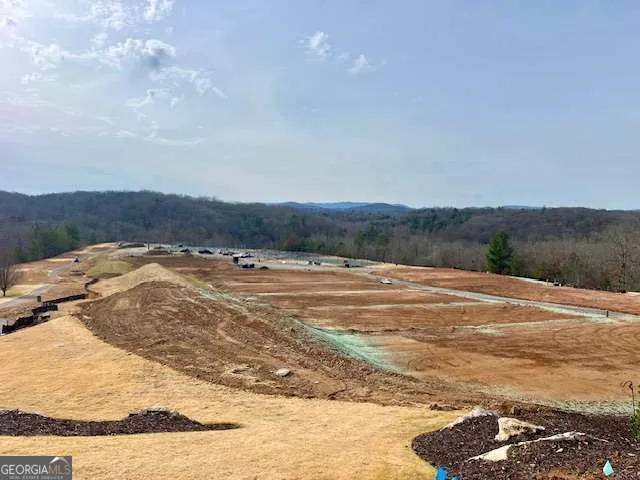 149 Hickory WAY Blue Ridge, GA 30513