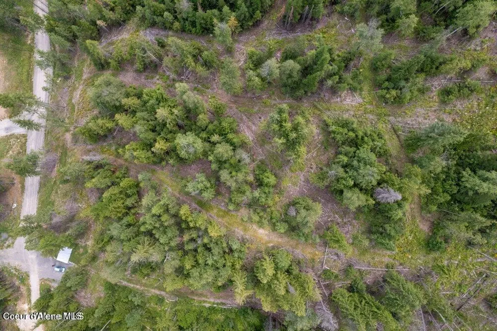 220 Hawkwind Trail Cocolalla, ID 83813