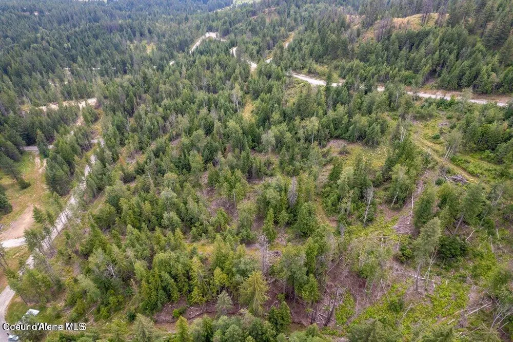 220 Hawkwind Trail Cocolalla, ID 83813