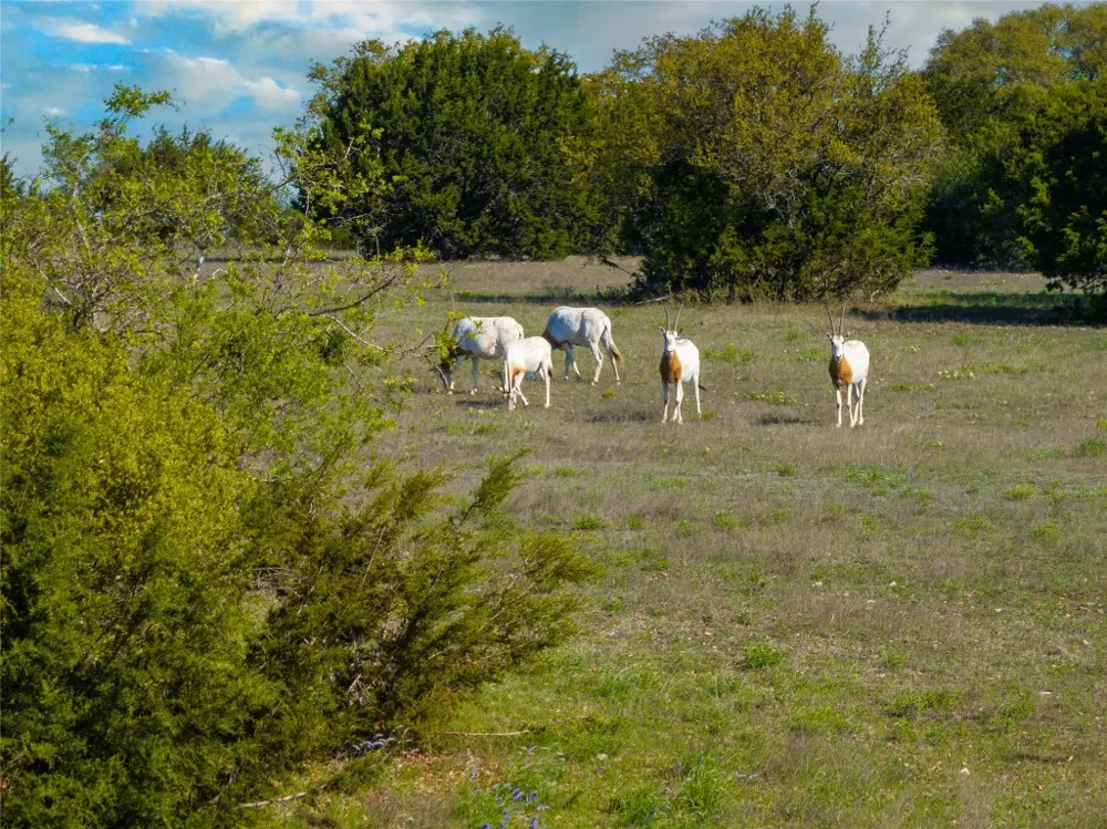 5525 FM2340 ROAD Burnet, TX 78611