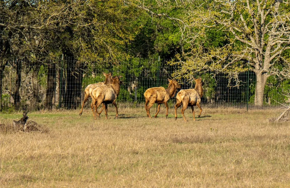 5525 FM2340 ROAD Burnet, TX 78611