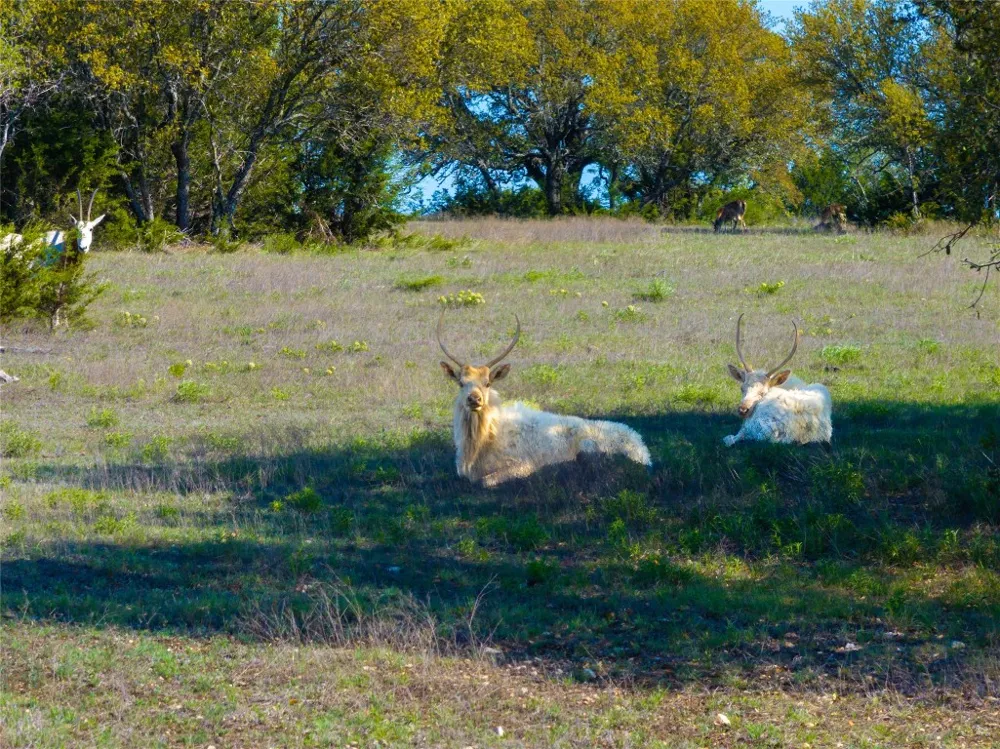 5525 FM2340 ROAD Burnet, TX 78611