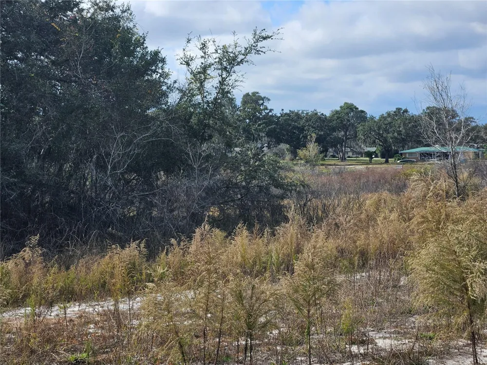 34794 ORCHID PARKWAY Dade City, FL 33523