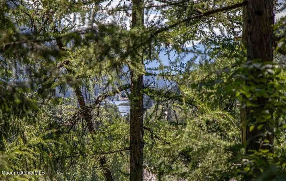 NNA Quail Run Road Sandpoint, ID 83864