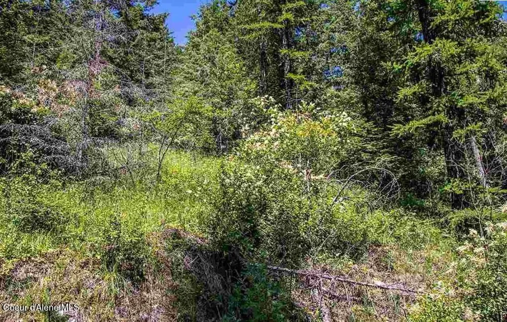 NNA Quail Run Road Sandpoint, ID 83864