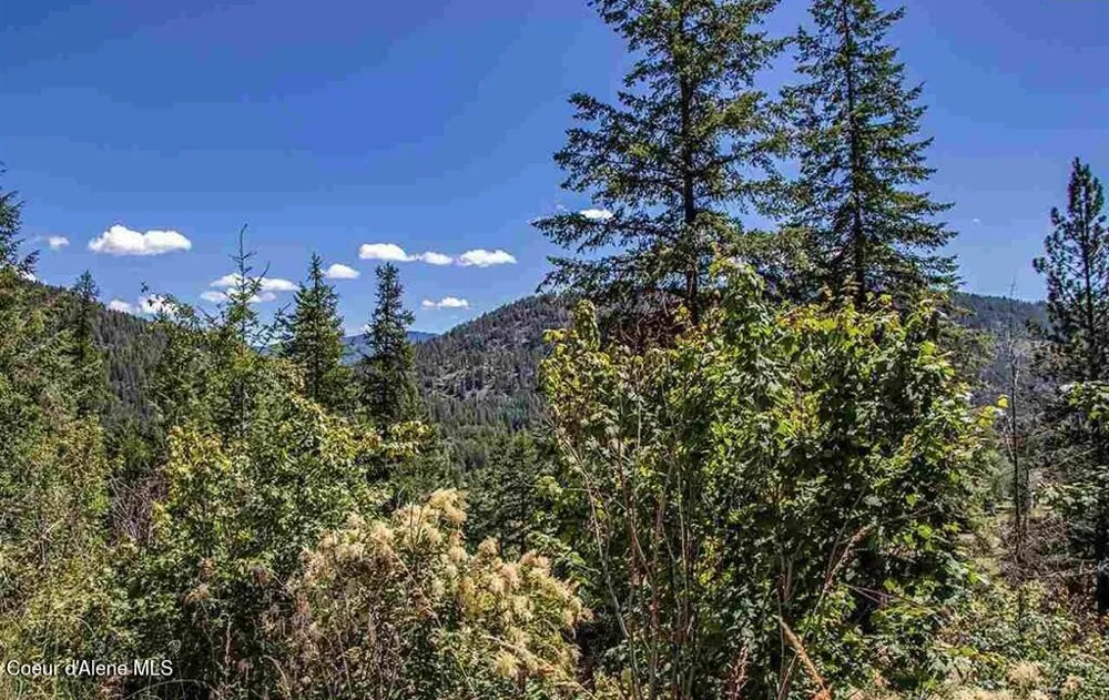 NNA Quail Run Road Sandpoint, ID 83864