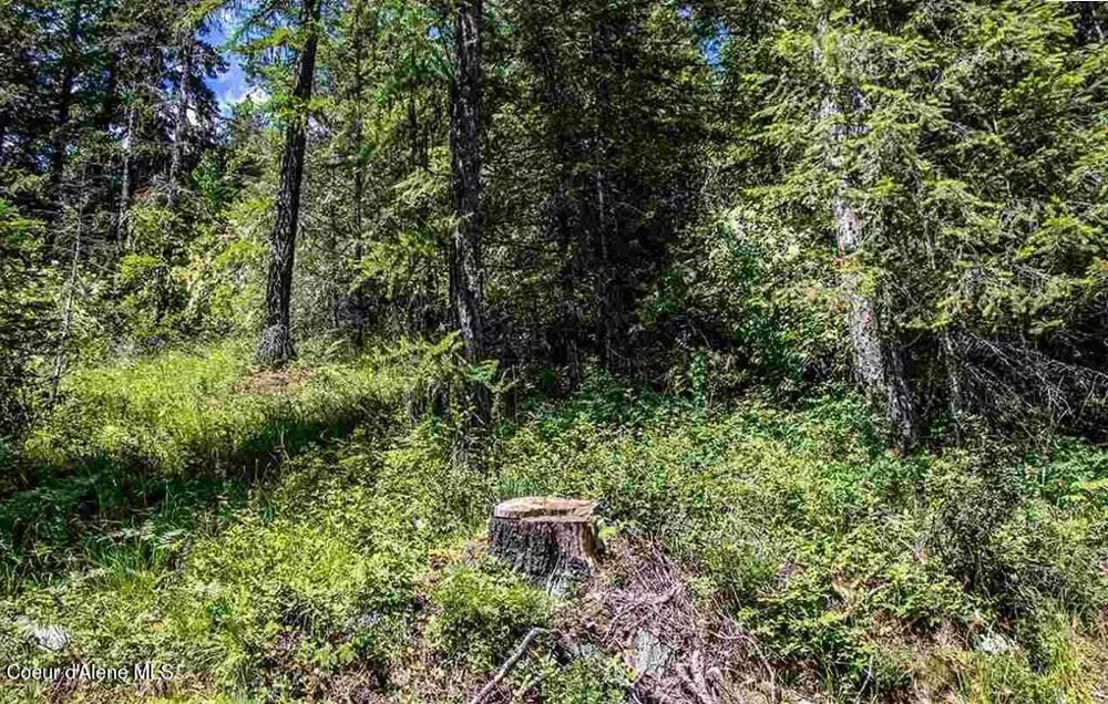 NNA Quail Run Road Sandpoint, ID 83864