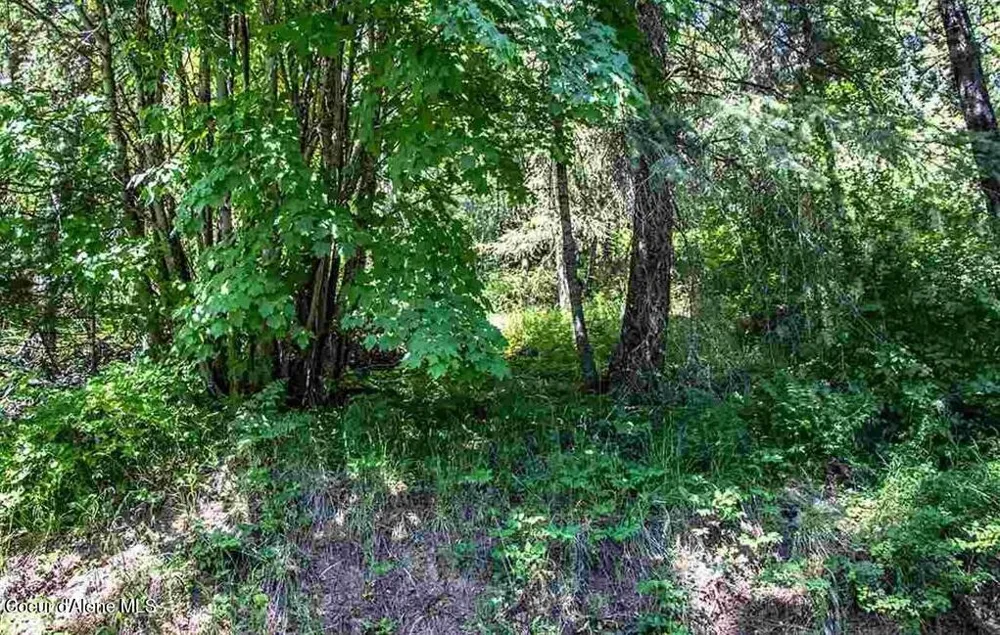 NNA Quail Run Road Sandpoint, ID 83864