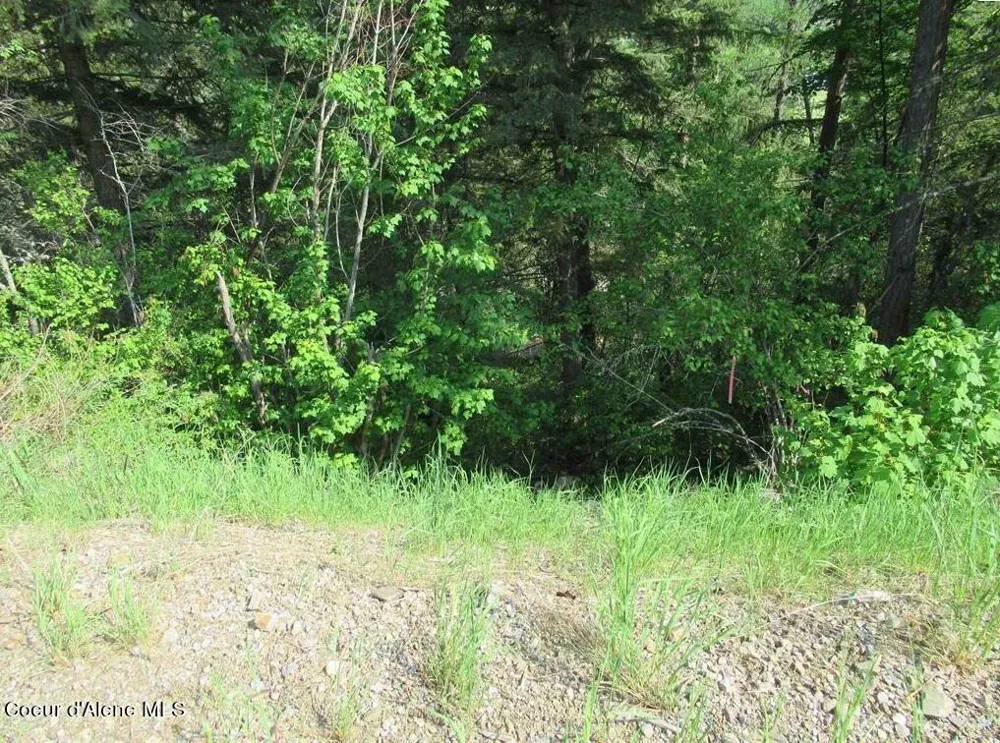 NNA Quail Run Road Sandpoint, ID 83864