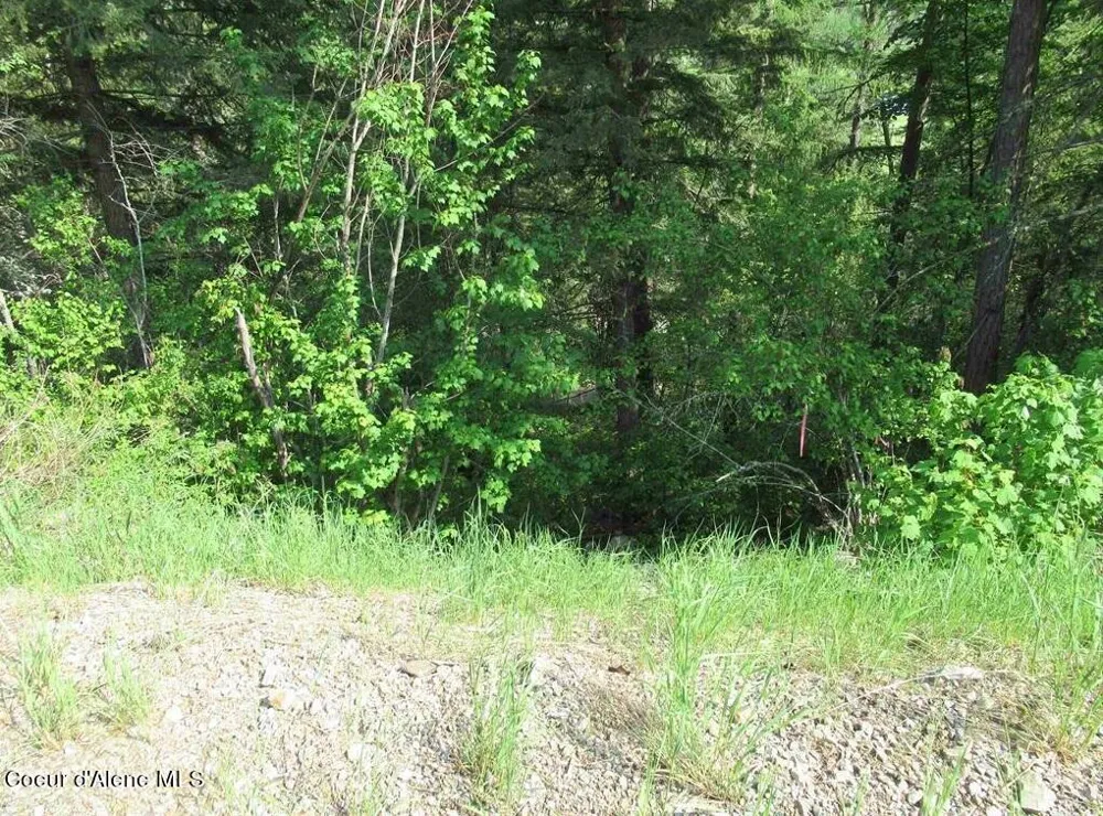 NNA Quail Run Road Sandpoint, ID 83864