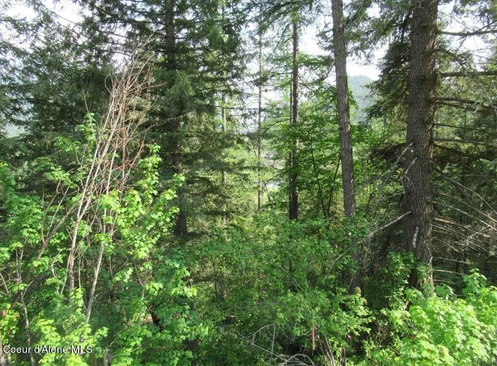 NNA Quail Run Road Sandpoint, ID 83864