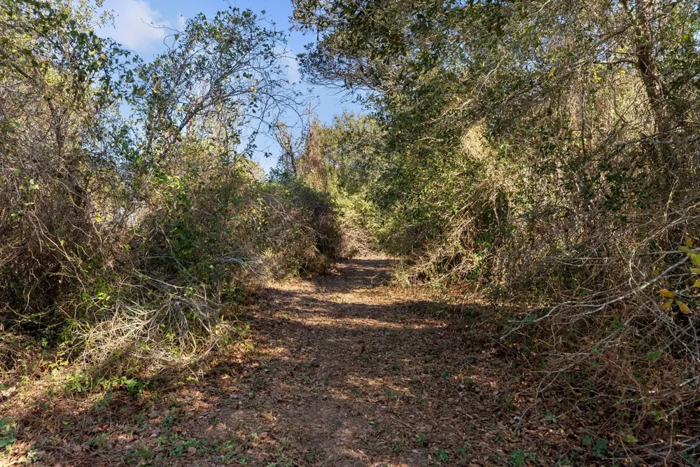 Fm 1488 Waller, TX 77484