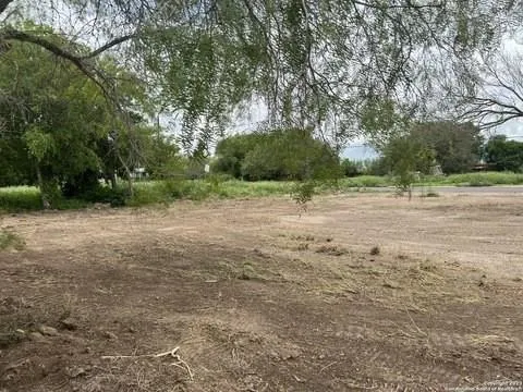 1015 Eli Garza St Freer, TX 78357