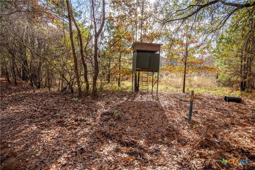 474 PR 4311 White Oak, TX 75693