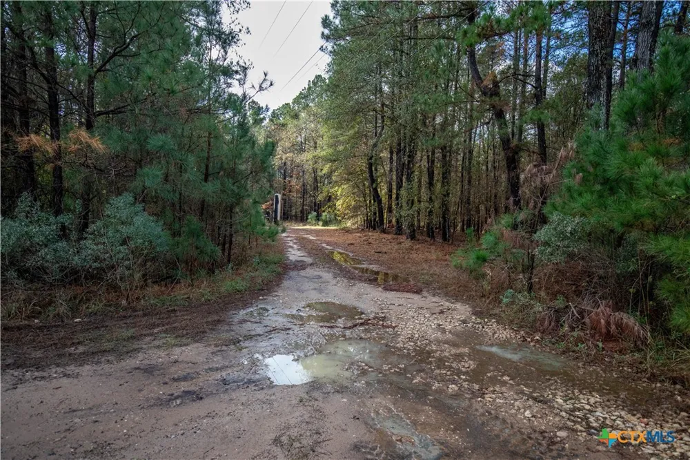 474 PR 4311 White Oak, TX 75693