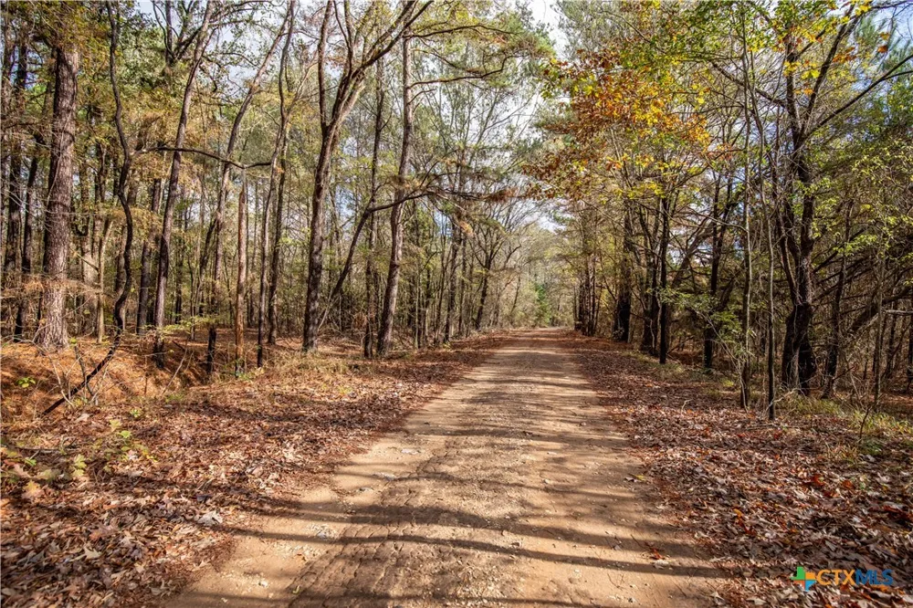 474 PR 4311 White Oak, TX 75693