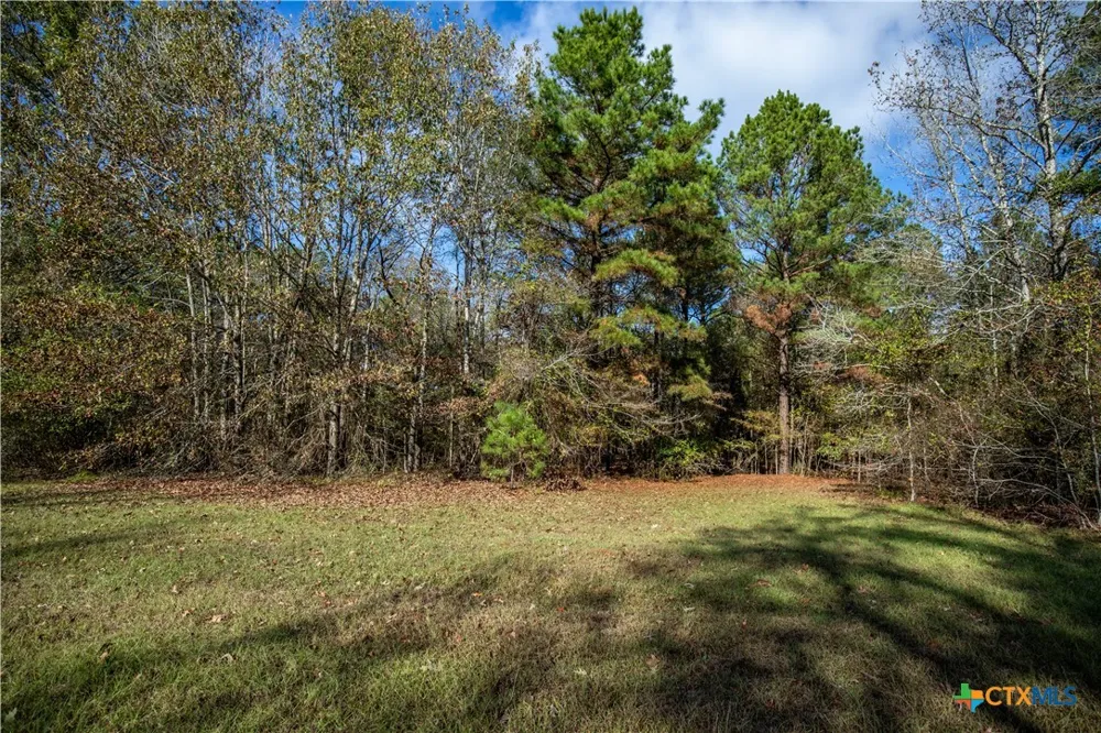 474 PR 4311 White Oak, TX 75693