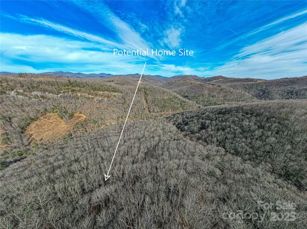 TBD Tannassee Creek Road Tuckasegee, NC 28783