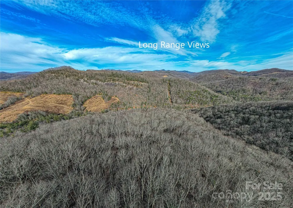 TBD Tannassee Creek Road Tuckasegee, NC 28783