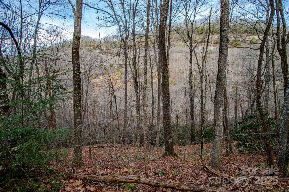 TBD Tannassee Creek Road Tuckasegee, NC 28783