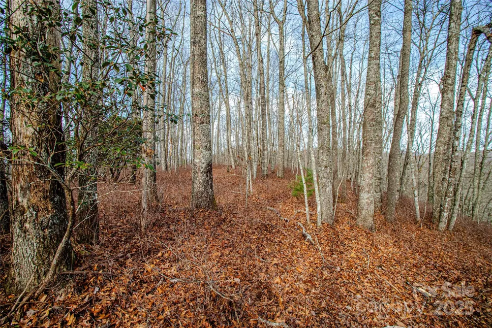 TBD Tannassee Creek Road Tuckasegee, NC 28783