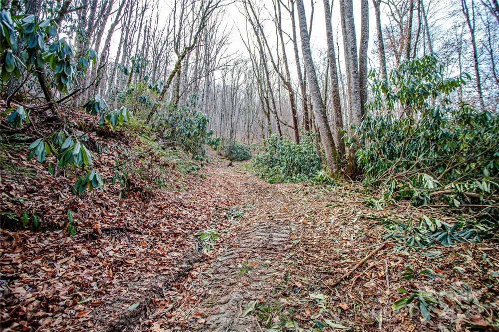 TBD Tannassee Creek Road Tuckasegee, NC 28783