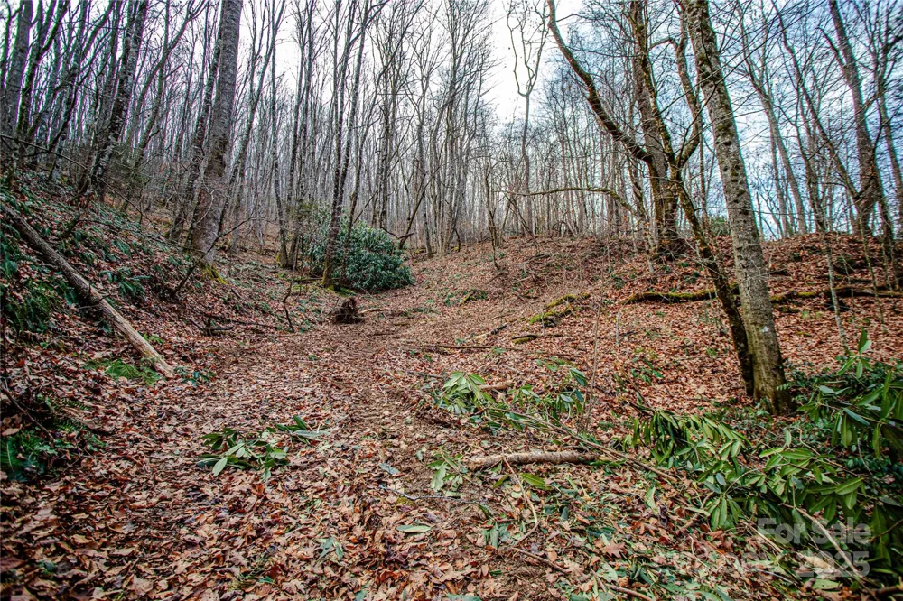 TBD Tannassee Creek Road Tuckasegee, NC 28783