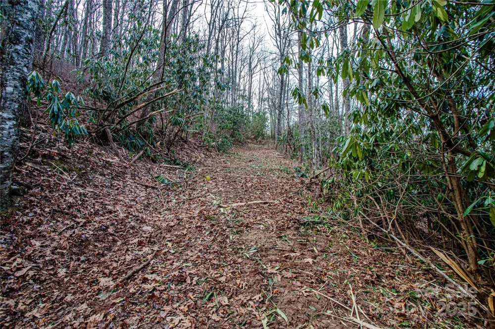 TBD Tannassee Creek Road Tuckasegee, NC 28783