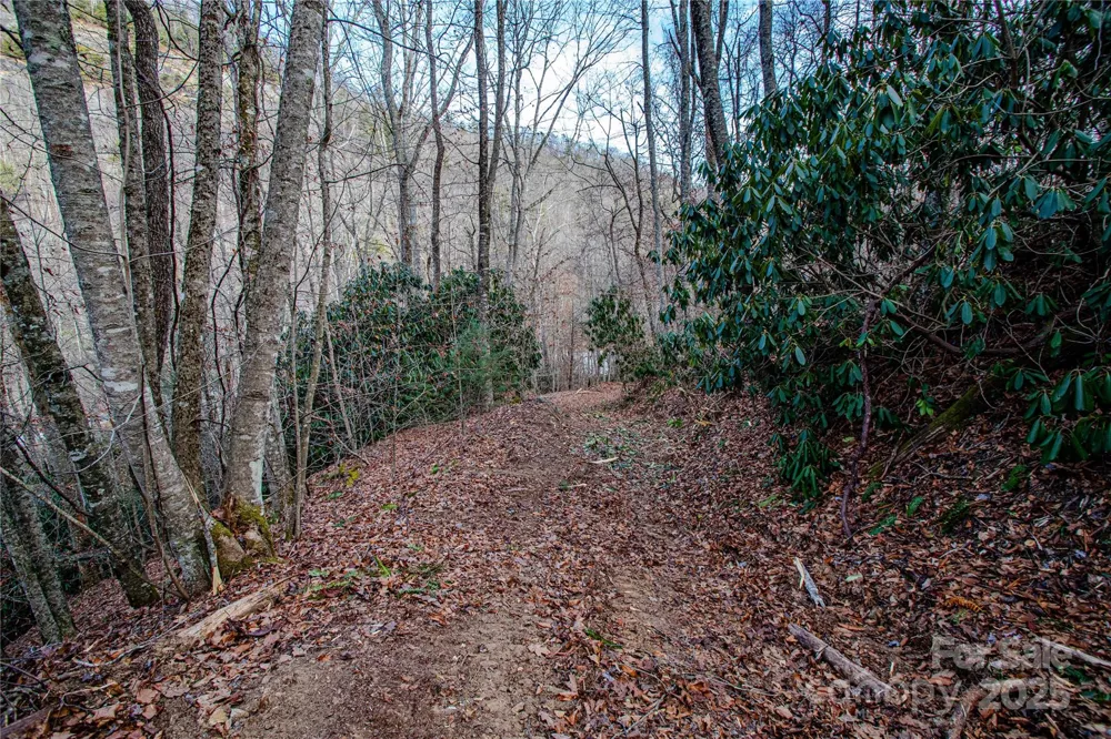 TBD Tannassee Creek Road Tuckasegee, NC 28783