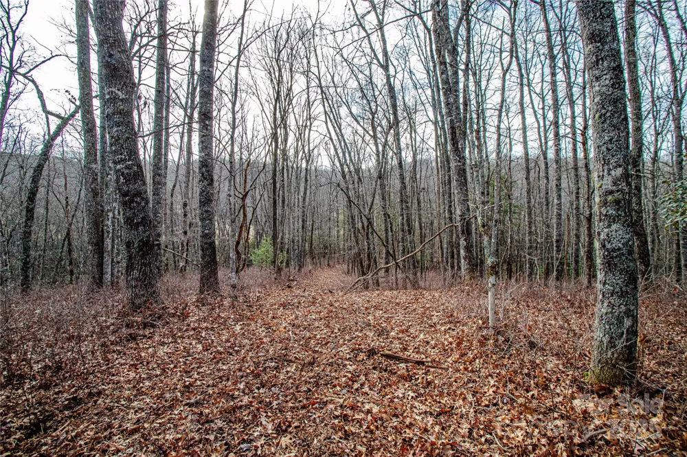 TBD Tannassee Creek Road Tuckasegee, NC 28783