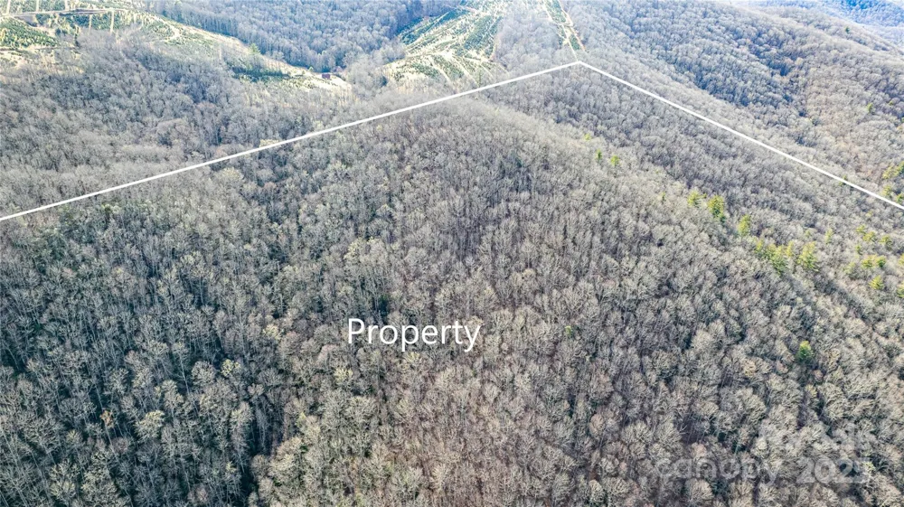 TBD Tannassee Creek Road Tuckasegee, NC 28783