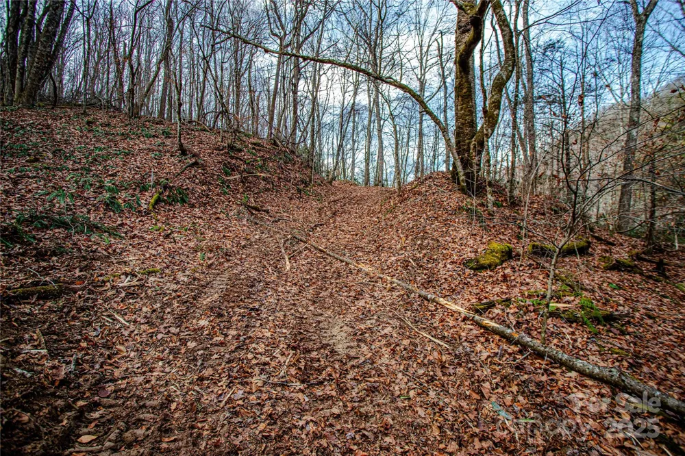 TBD Tannassee Creek Road Tuckasegee, NC 28783