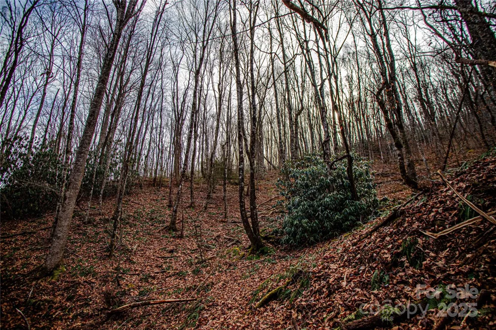 TBD Tannassee Creek Road Tuckasegee, NC 28783