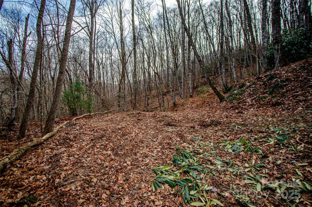 TBD Tannassee Creek Road Tuckasegee, NC 28783