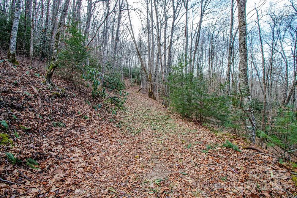 TBD Tannassee Creek Road Tuckasegee, NC 28783