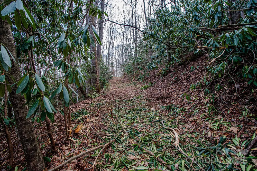 TBD Tannassee Creek Road Tuckasegee, NC 28783