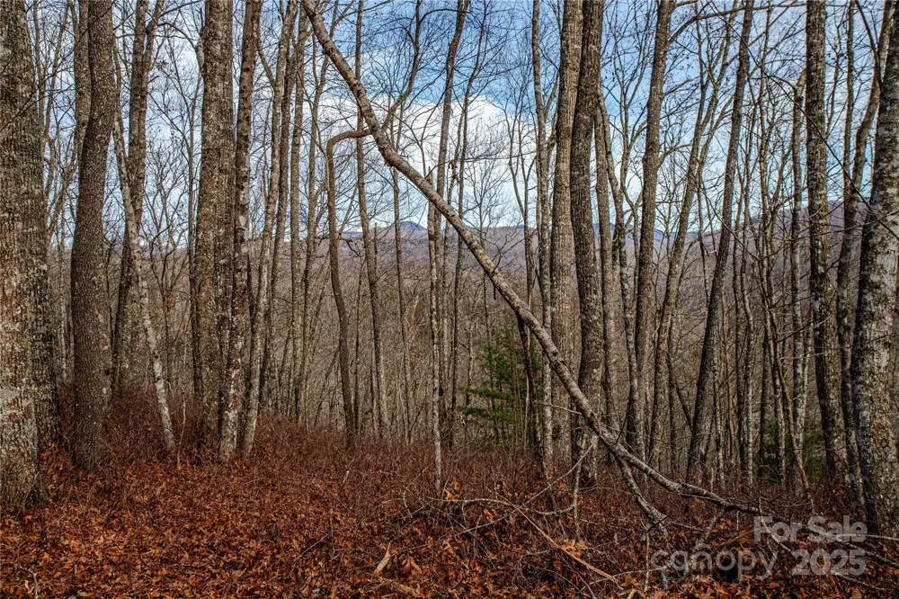 TBD Tannassee Creek Road Tuckasegee, NC 28783