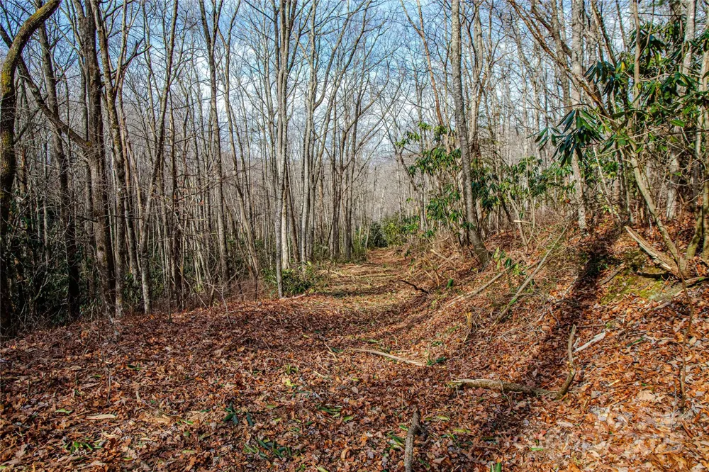 TBD Tannassee Creek Road Tuckasegee, NC 28783