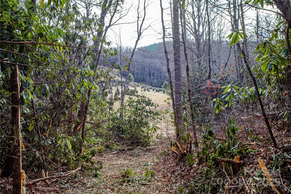 TBD Tannassee Creek Road Tuckasegee, NC 28783