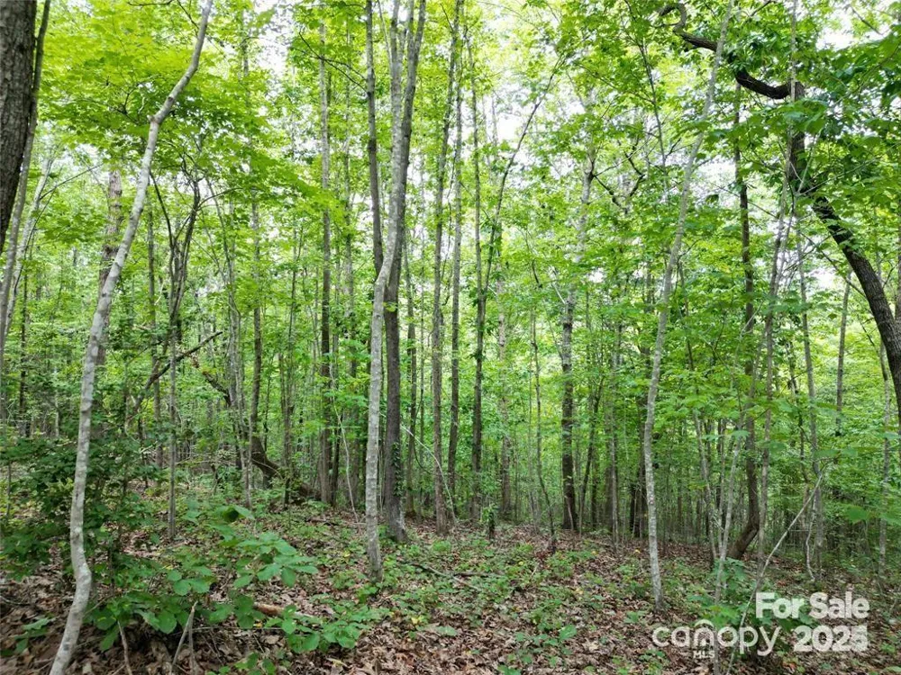 LOT 29 Watson Way #29 Rockingham, NC 28379