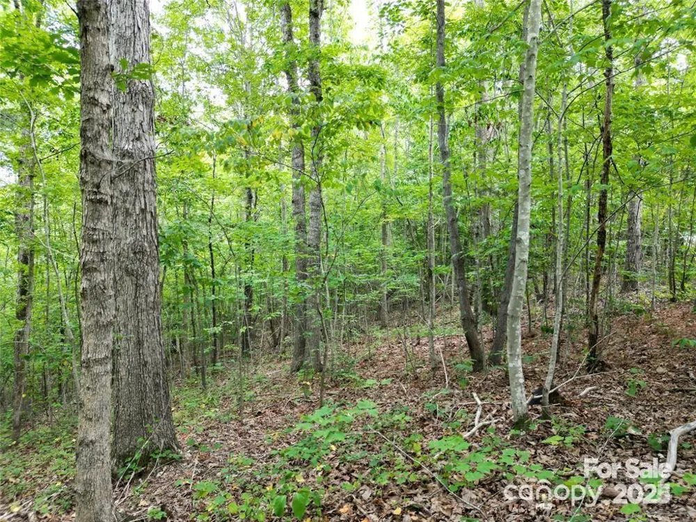 LOT 29 Watson Way #29 Rockingham, NC 28379