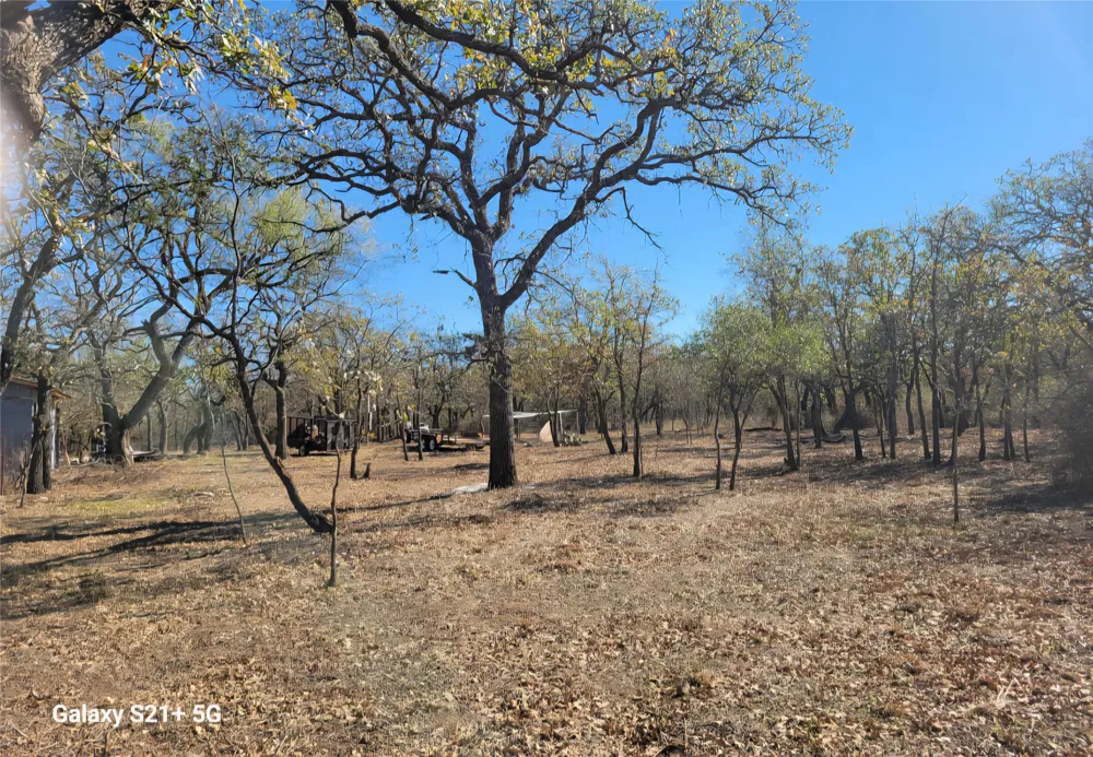 509 County Road 143 Bangs, TX 76823
