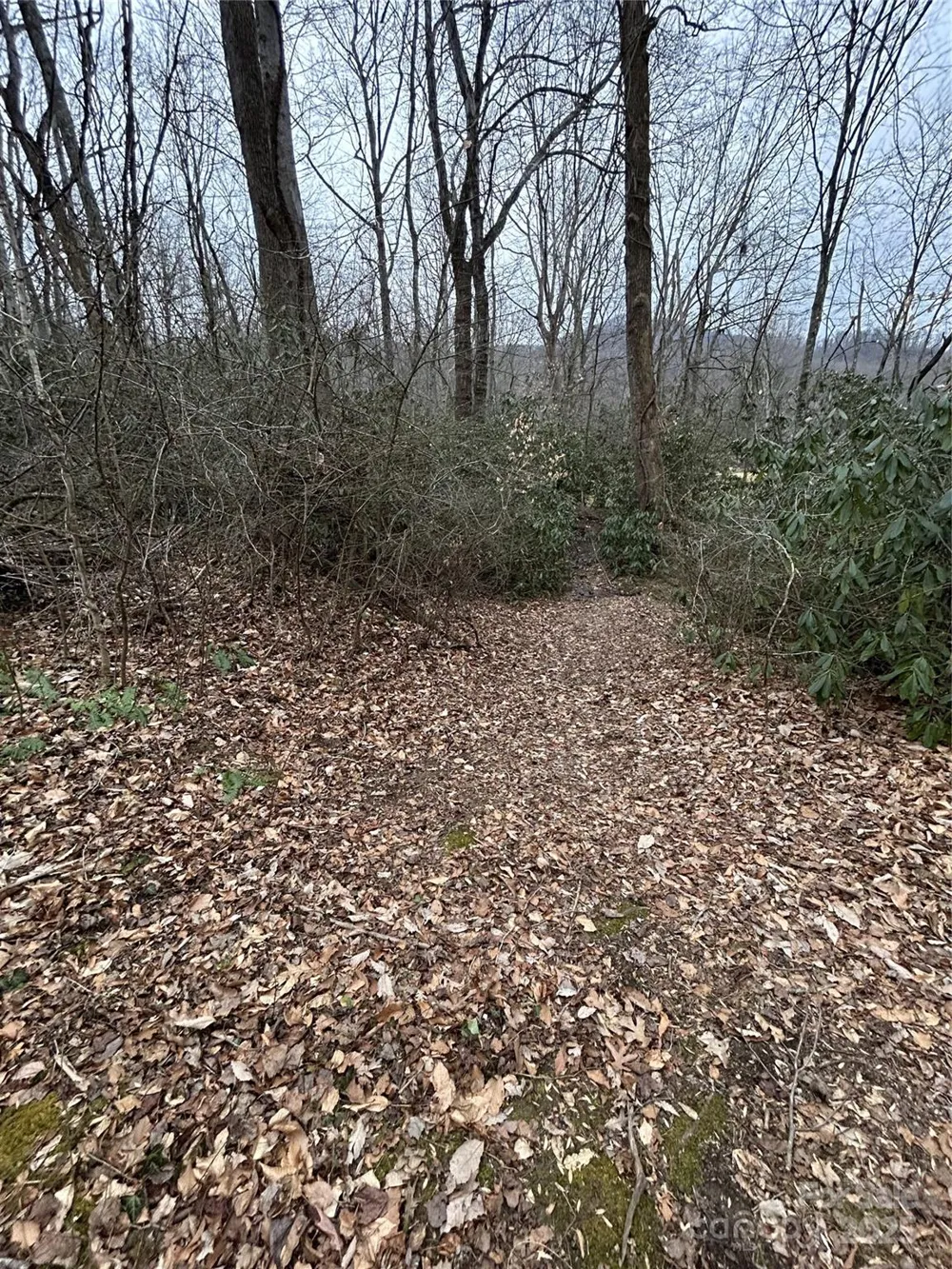000 Lytle Cove Road Swannanoa, NC 28778