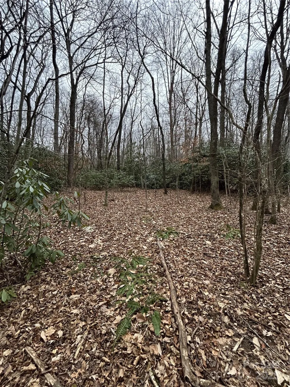 000 Lytle Cove Road Swannanoa, NC 28778